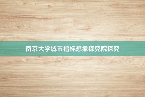 南京大学城市指标想象探究院探究