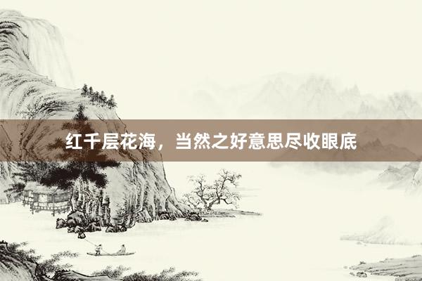 红千层花海,当然之好意思尽收眼底