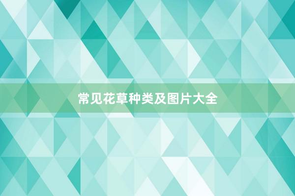 常见花草种类及图片大全
