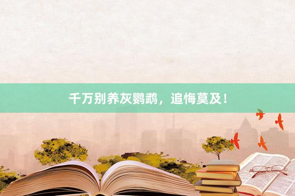 千万别养灰鹦鹉，追悔莫及！