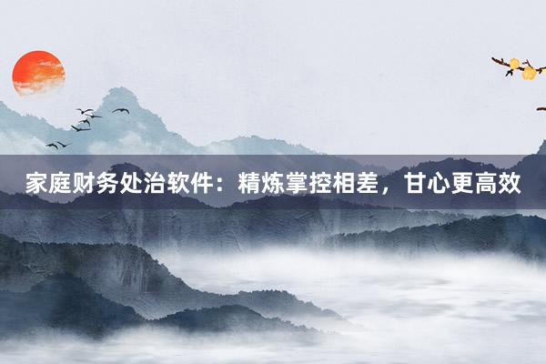 家庭财务处治软件:精炼掌控相差,甘心更高效