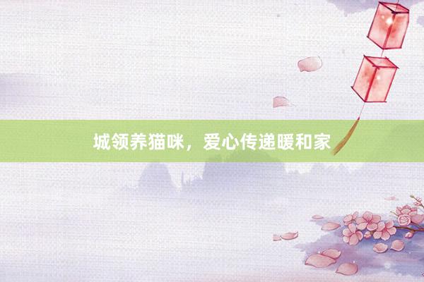 城领养猫咪，爱心传递暖和家